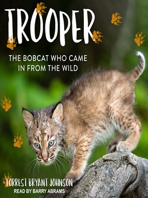 Trooper - Audiobook